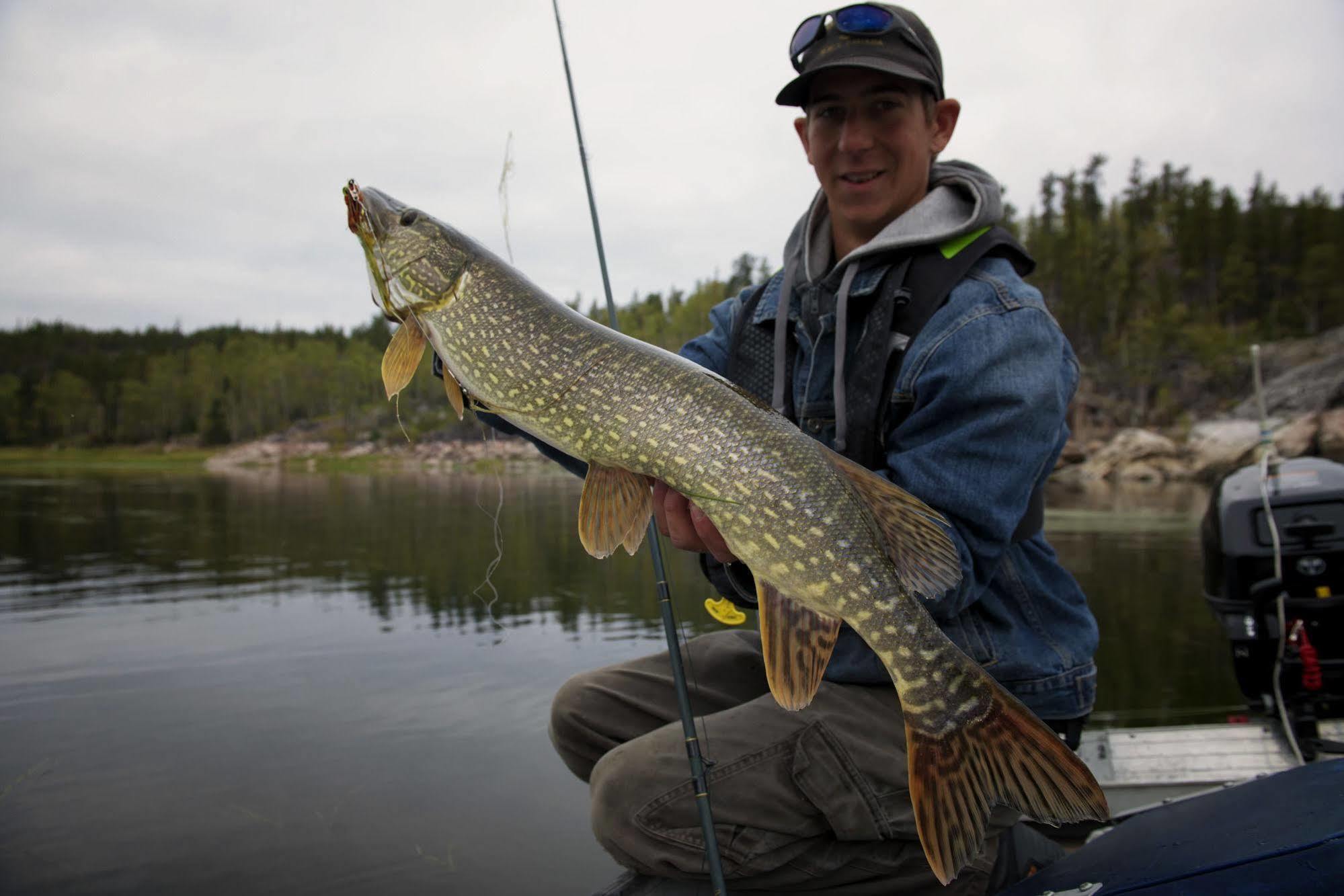 Yellow Dog Lodge, Inc. Yellowknife Εξωτερικό φωτογραφία
