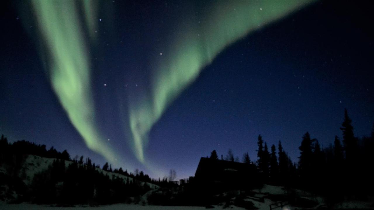 Yellow Dog Lodge, Inc. Yellowknife Εξωτερικό φωτογραφία